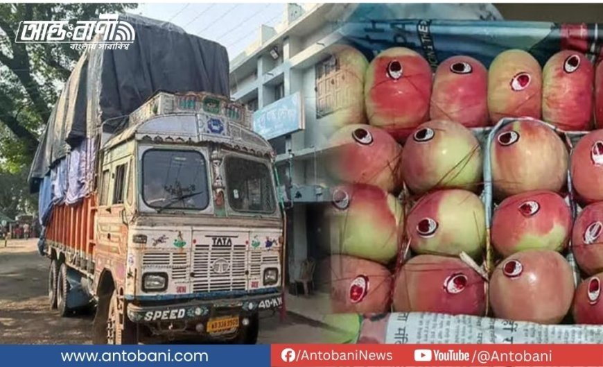 ৮ বছর পর ভারত থেকে আবার আপেল আমদানি