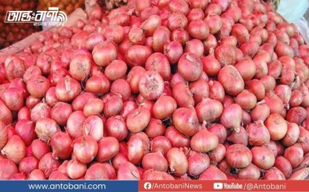 সিন্ডিকেট মানতে নারাজ সরকার, অস্থির পেঁয়াজের বাজার