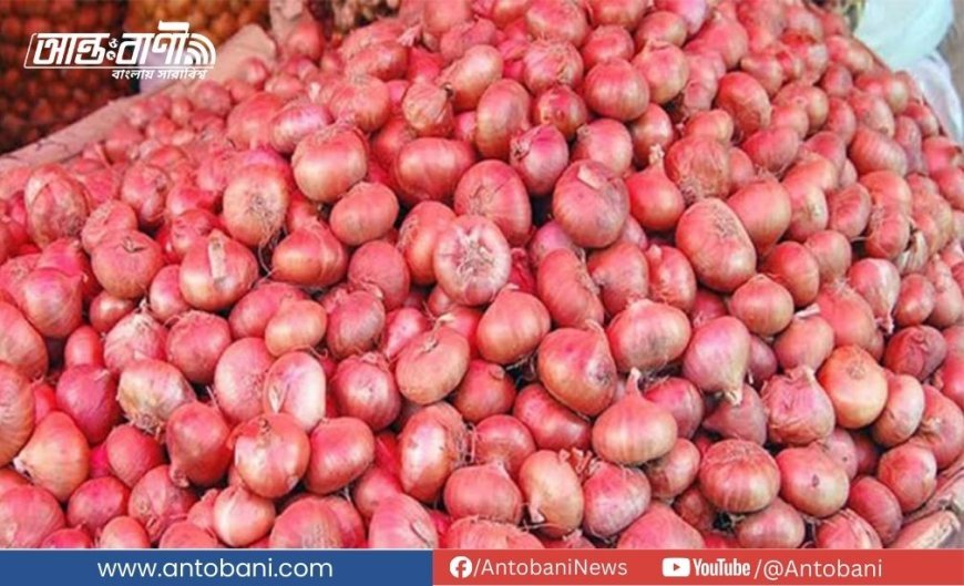 সিন্ডিকেট মানতে নারাজ সরকার, অস্থির পেঁয়াজের বাজার