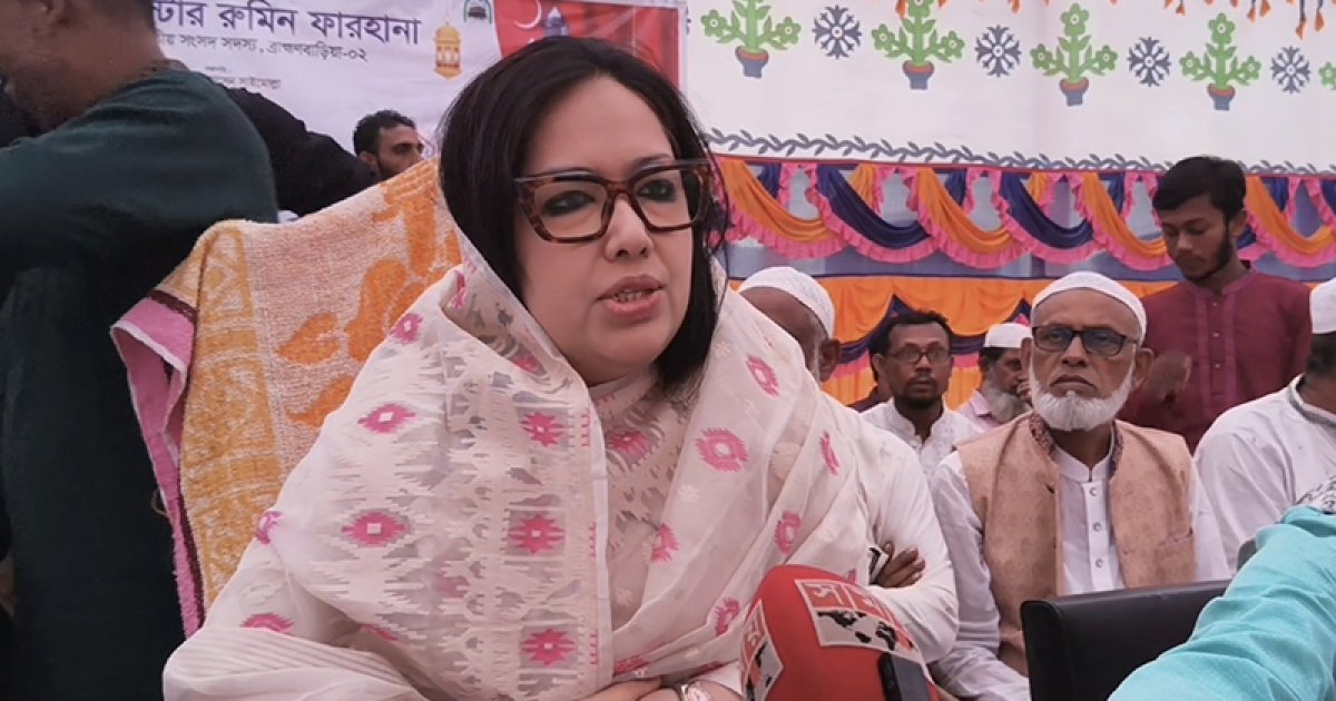 ইরান-ইসরায়েল যুদ্ধ পরিস্থিতিতে নতুন সরকারের যাত্রা: মন্তব্য রুমিন ফারহানার